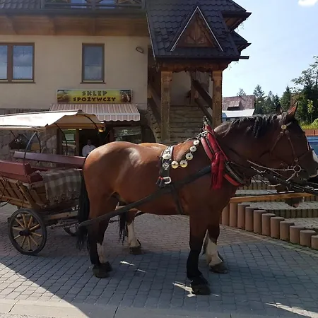 Homestay szállás Goscinne Pod Giewontem