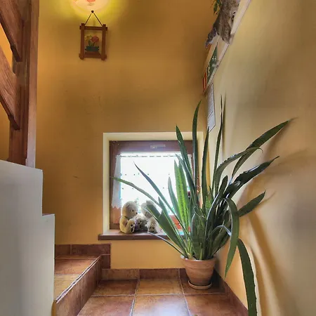 Goscinne Pod Giewontem * Zakopane