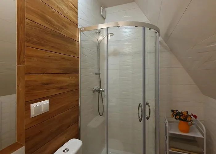 Goscinne Pod Giewontem זקופאנה